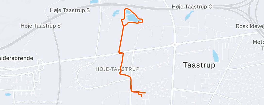 Карта физической активности (Lunch Run)