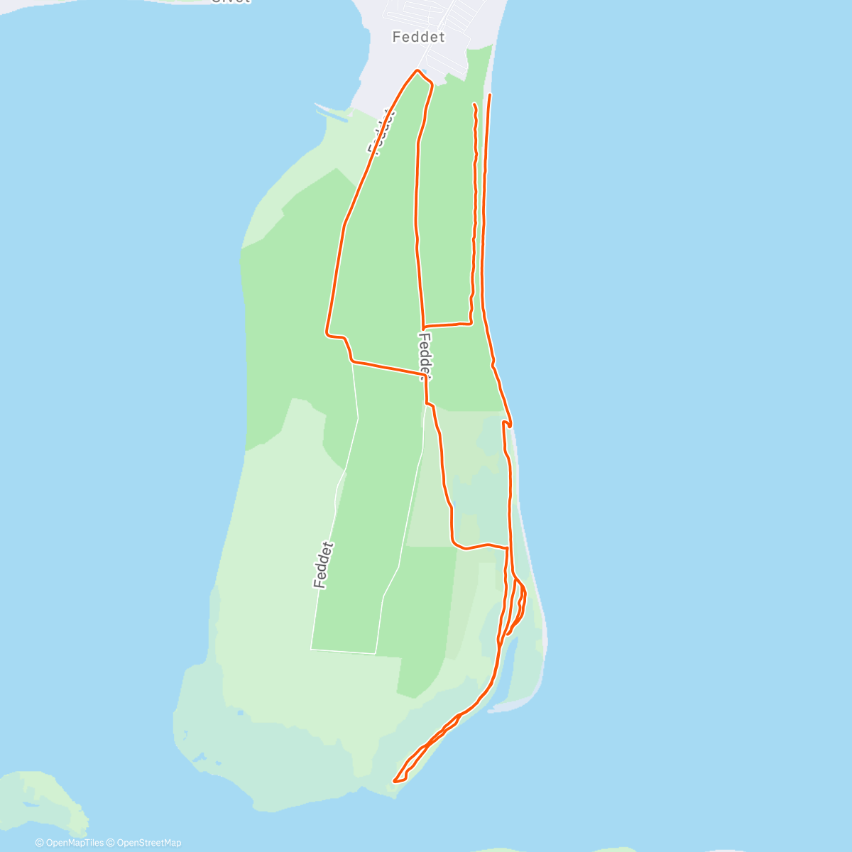 Карта физической активности (Trail sandy running)