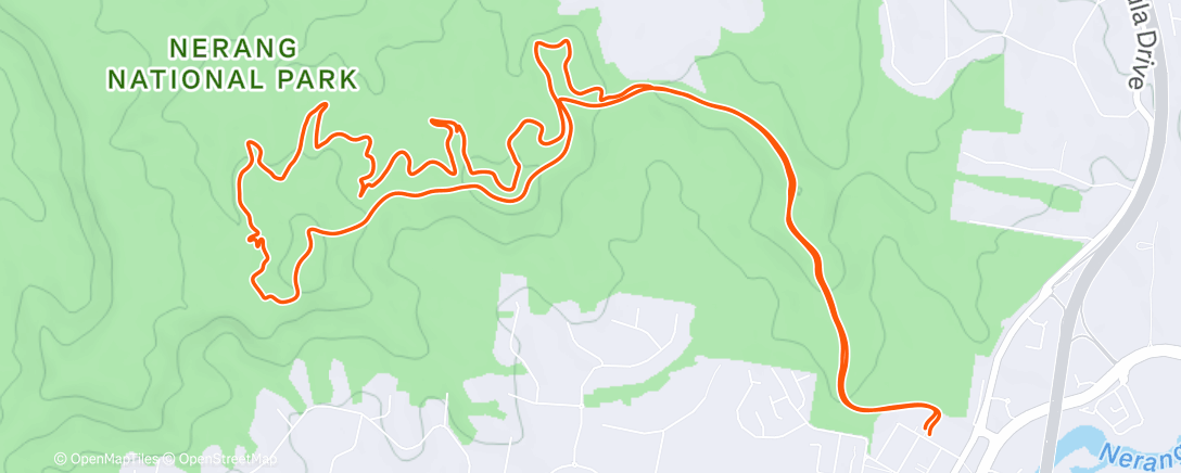 Map of the activity, 🌲