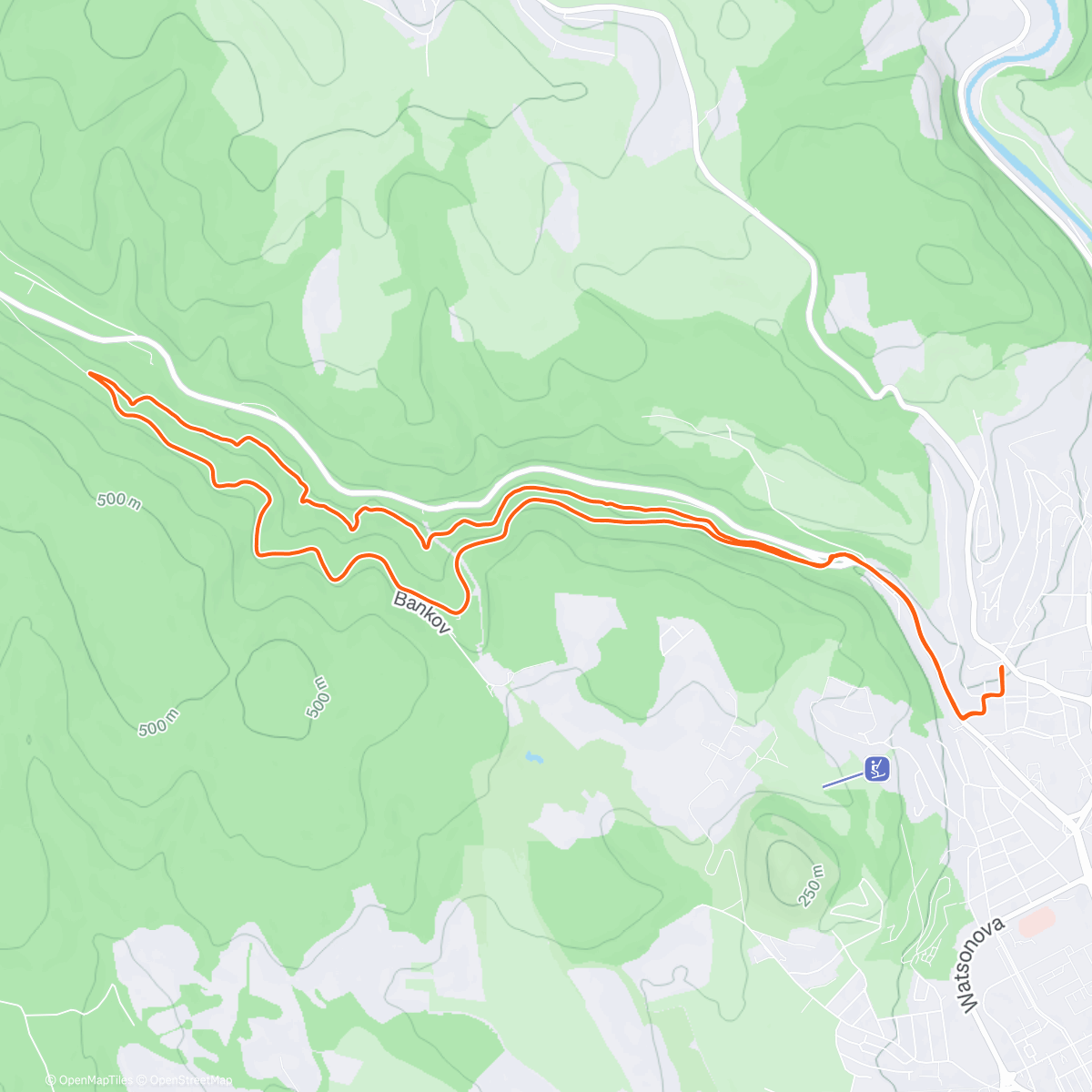Map of the activity, X mass w Friends 🌲🎄