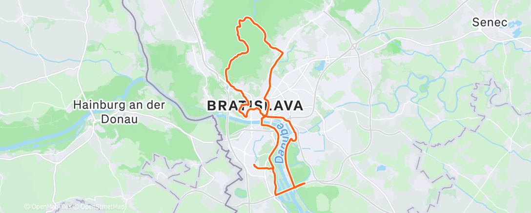 Карта физической активности (Afternoon Ride)