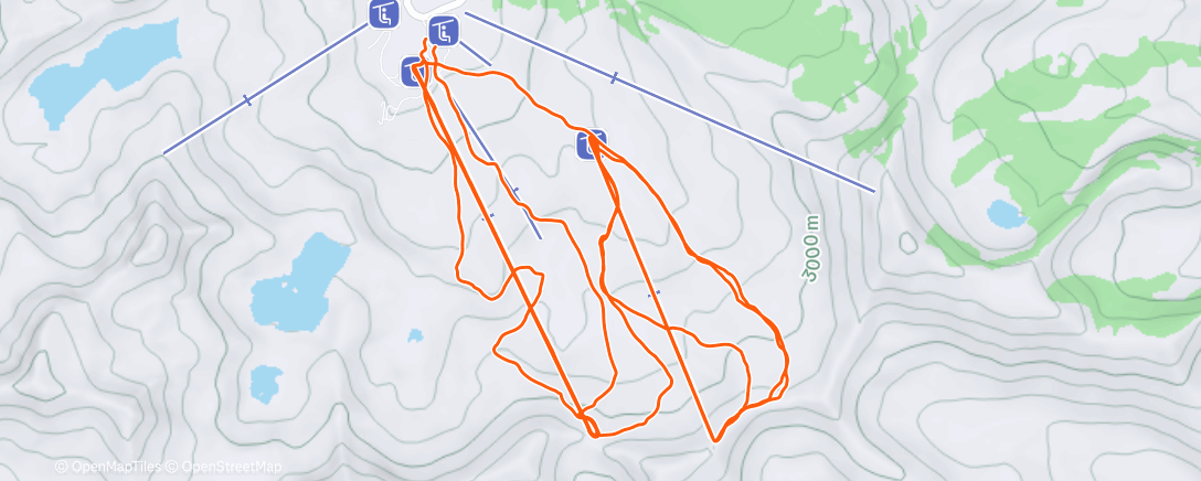 Map of the activity, Brighton, fresh 2” w/picketts