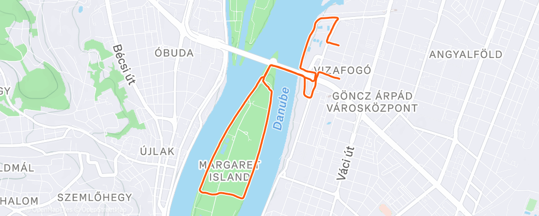 Карта физической активности (Morning Run)