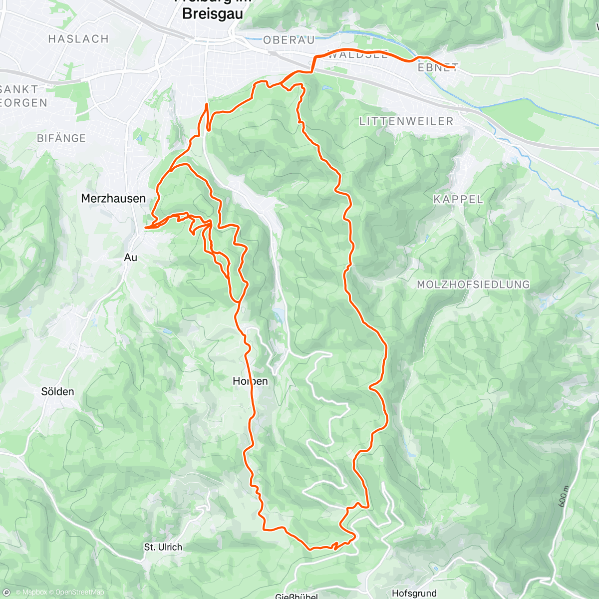 Mapa de la actividad (Frohes neues Jahr meine Zuckermäuse🐭💐🤩💓)