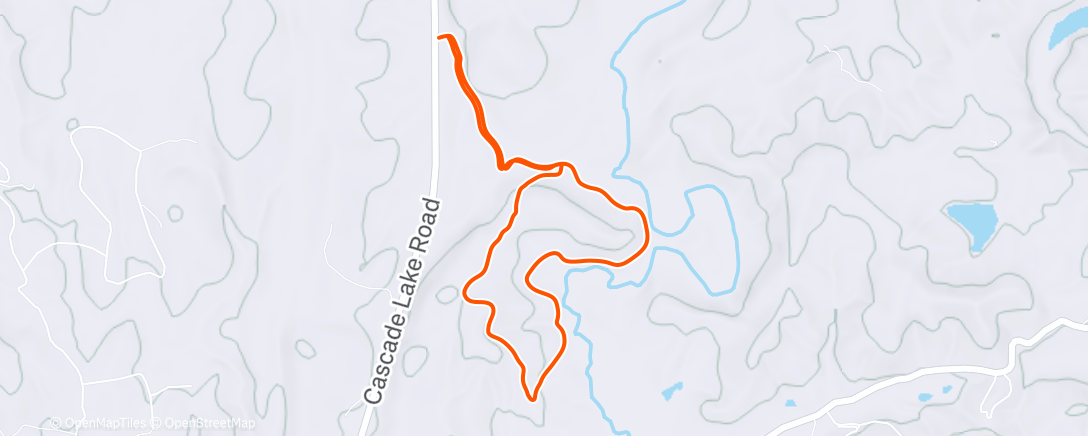 Карта физической активности (Morning Run)