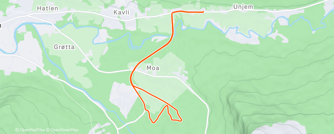 Карта физической активности (Morning Trail Run)