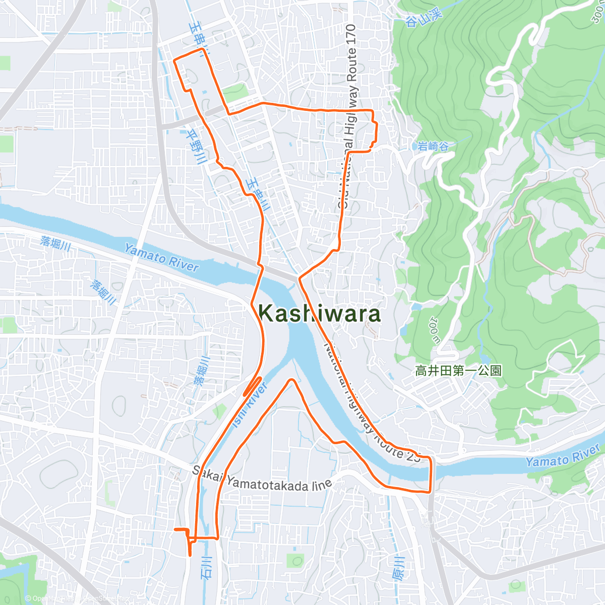 Map of the activity, Morning Run