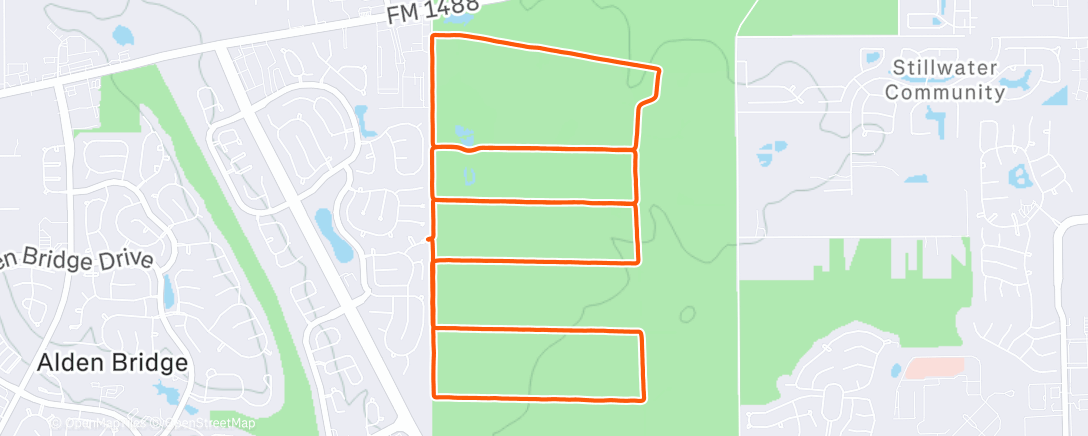 Map of the activity, Jones State Forest trails