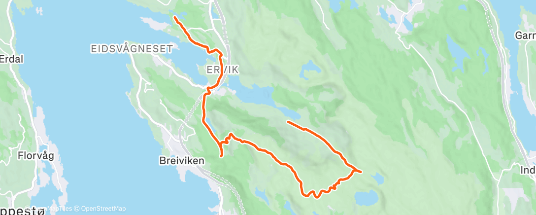 Map of the activity, Lunch Run