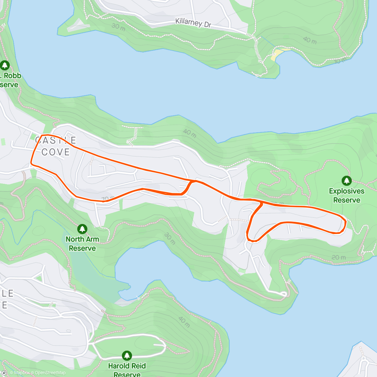 Карта физической активности (Moody Afternoon (Castle Cove) 🌬️🌧️)