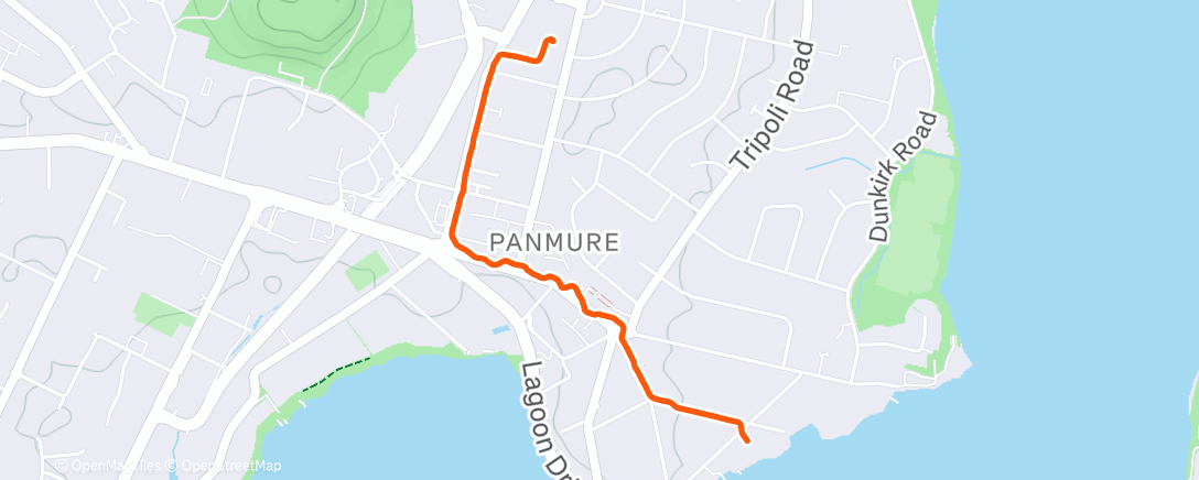 Map of the activity, Morning Run