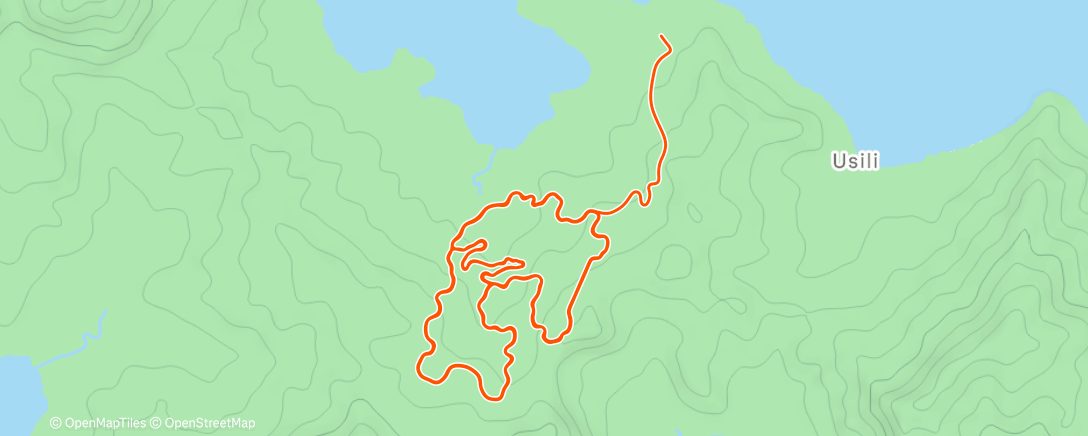 Map of the activity, Richiamino