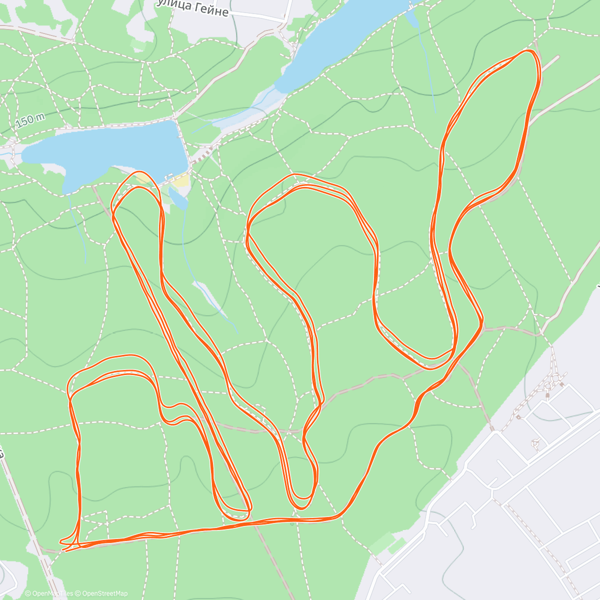 Map of the activity, Afternoon Nordic Ski