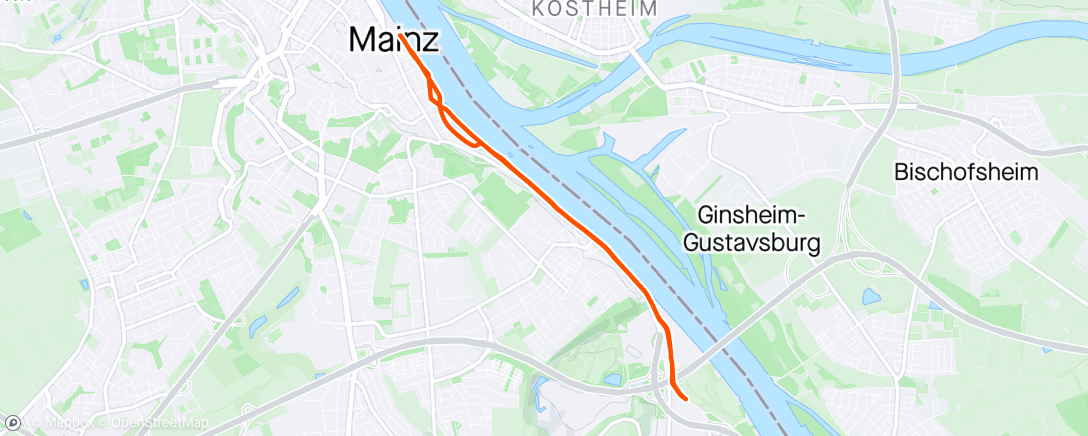 Map of the activity, Nice (slightly hungover) morning run up and down the Rhine