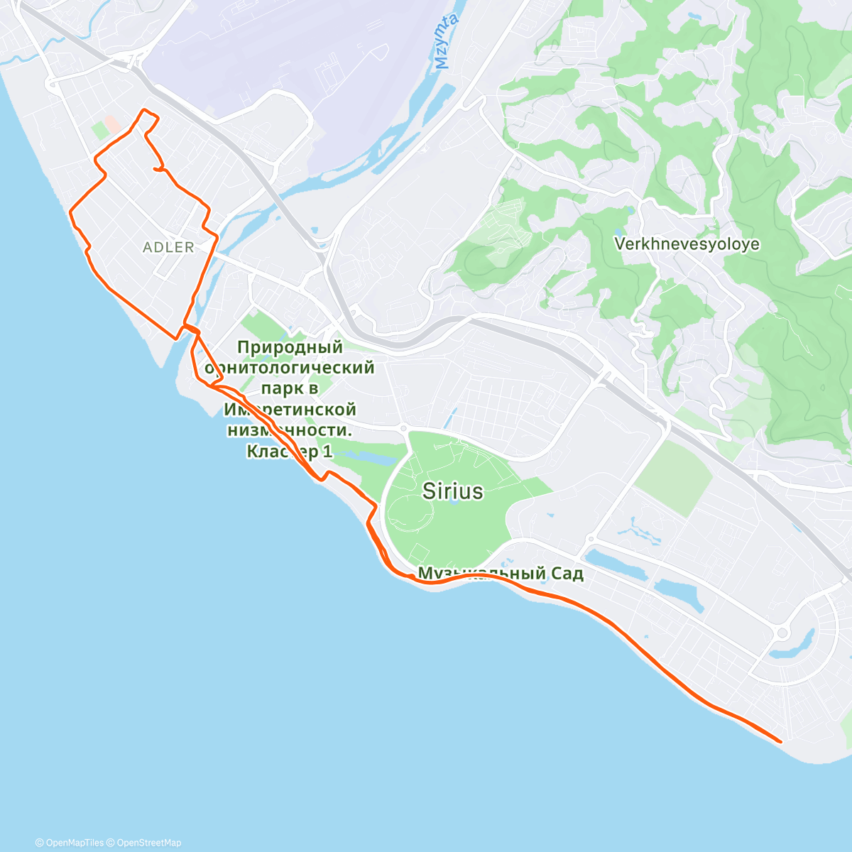 Карта физической активности (Дневной забег)