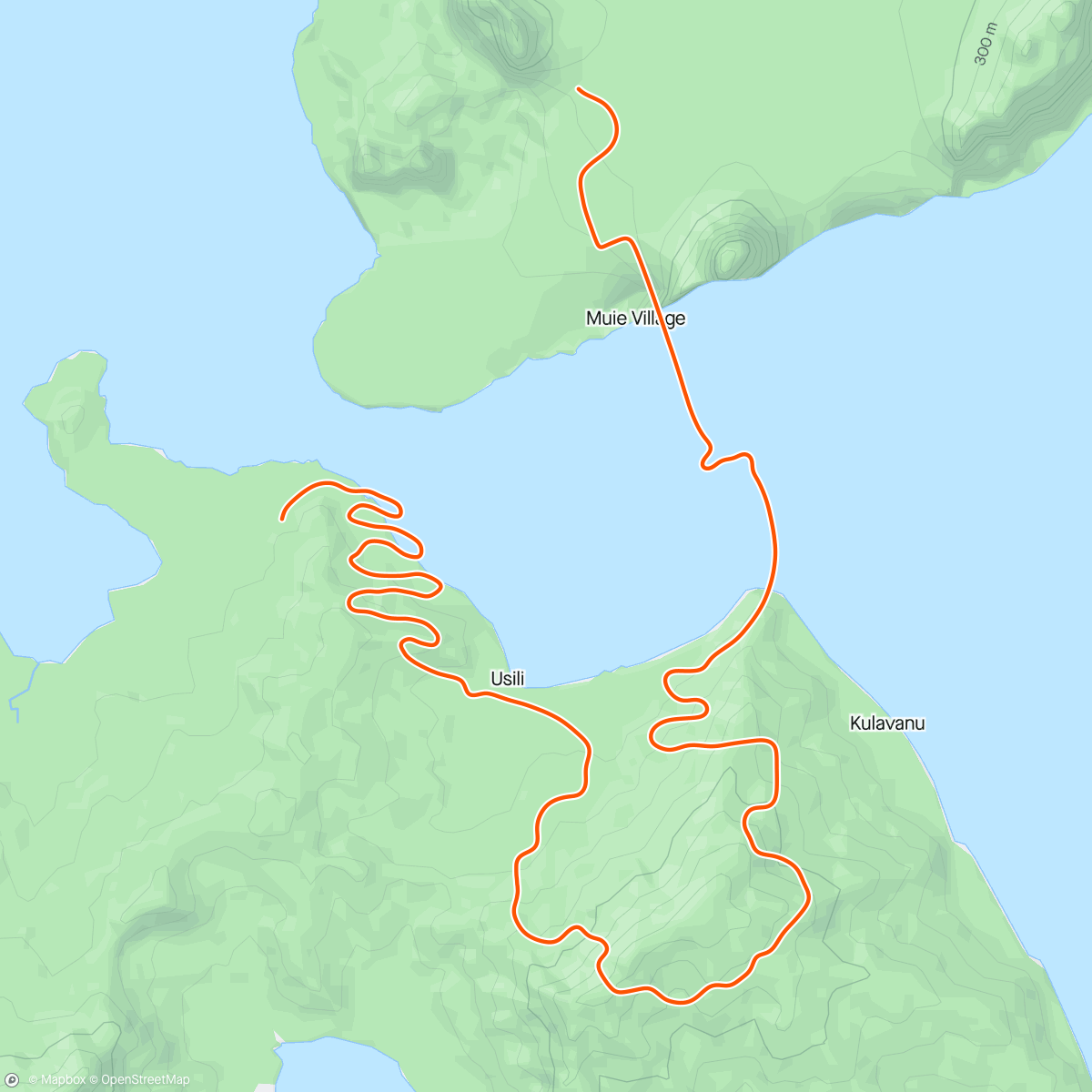 Map of the activity, Zwift - 04. Power Surge in Watopia