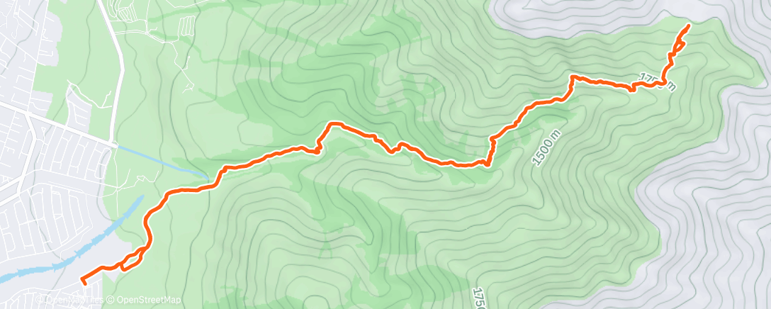Map of the activity, 🦊