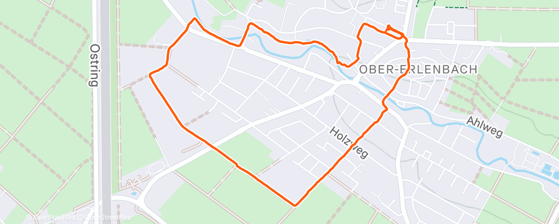 Map of the activity, Morning Walk