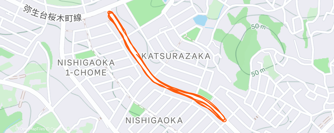 Map of the activity, 夜のランニング