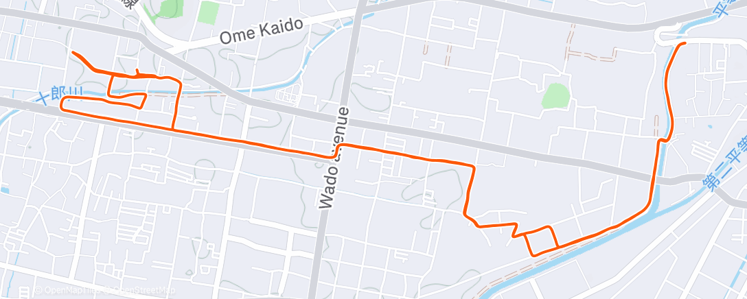 Map of the activity, Afternoon Run