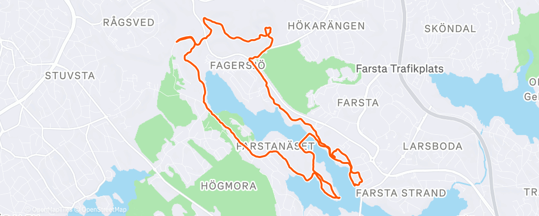 Карта физической активности (Afternoon Trail Run)