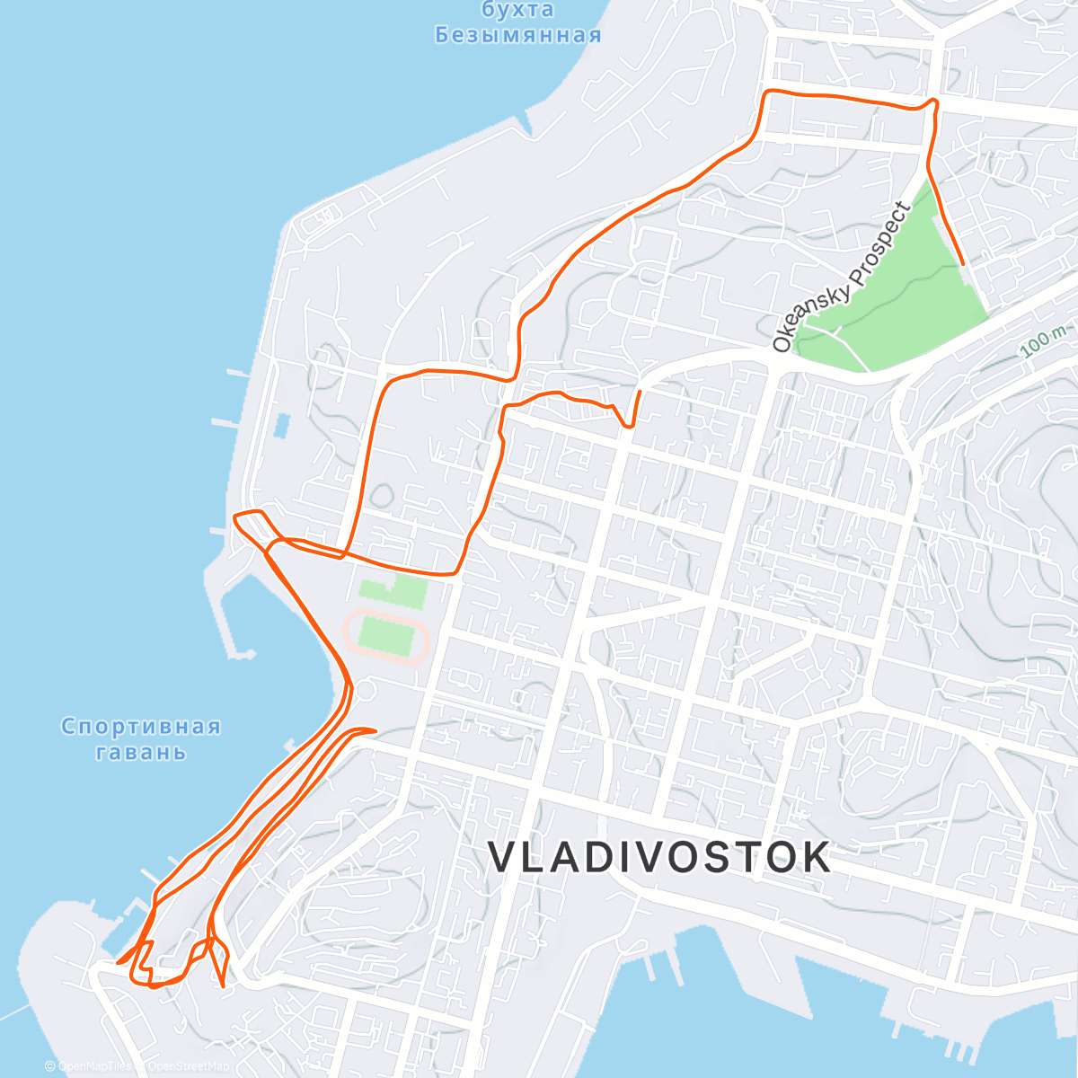 Карта физической активности (Enough!)