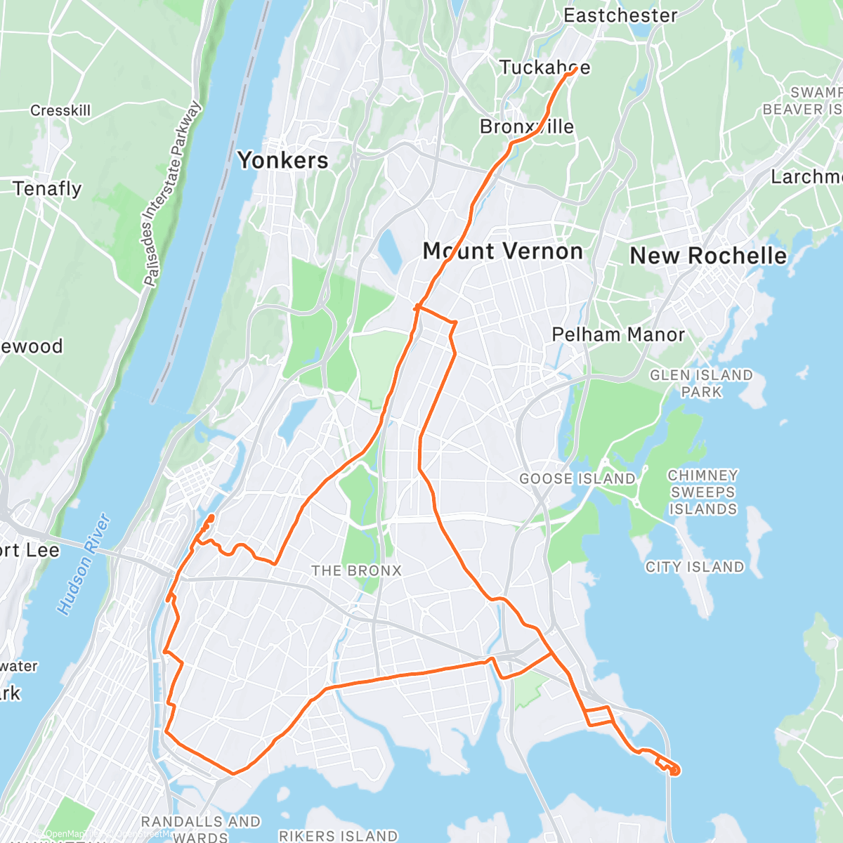 Map of the activity, I wanted to see more of the Bronx