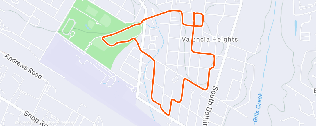 Карта физической активности (Easy base run)