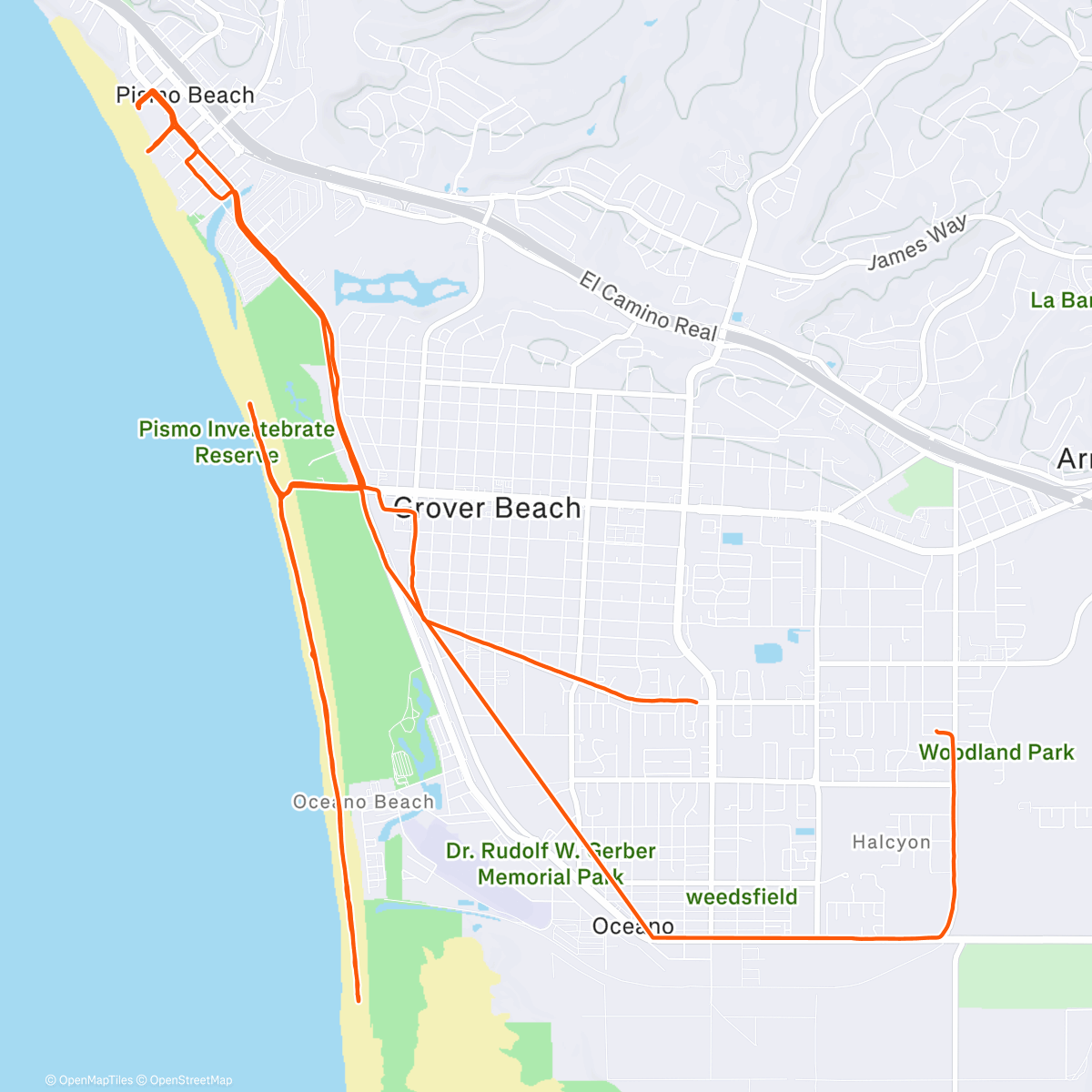 Карта физической активности (Afternoon Ride w/ Patrick & Michael)