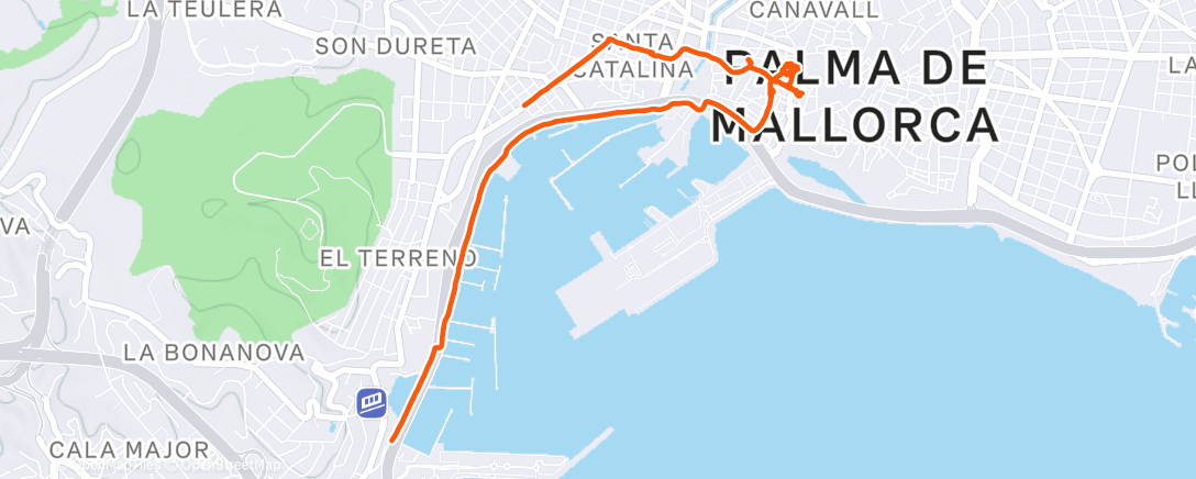 Map of the activity, Lauf am Nachmittag