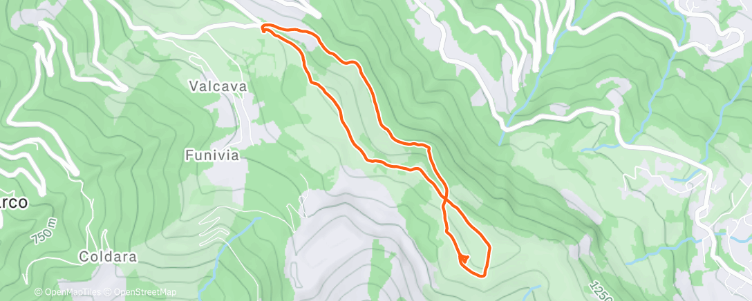 Карта физической активности (Escursione mattutina)