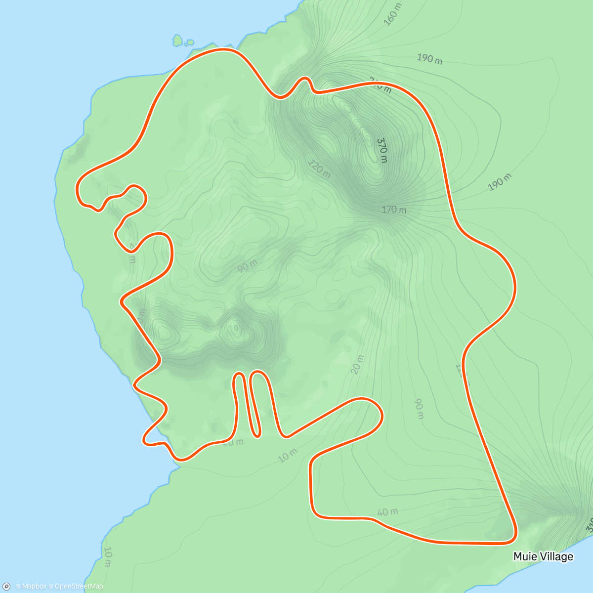 Map of the activity, Z2 - 1h