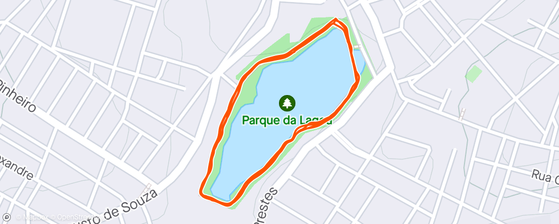 Map of the activity, Lago