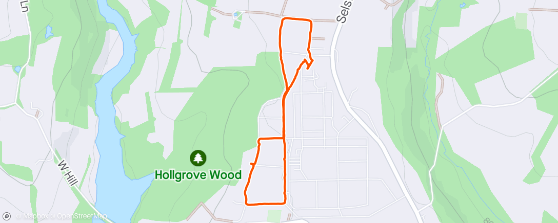 Map of the activity, Morning dog walk