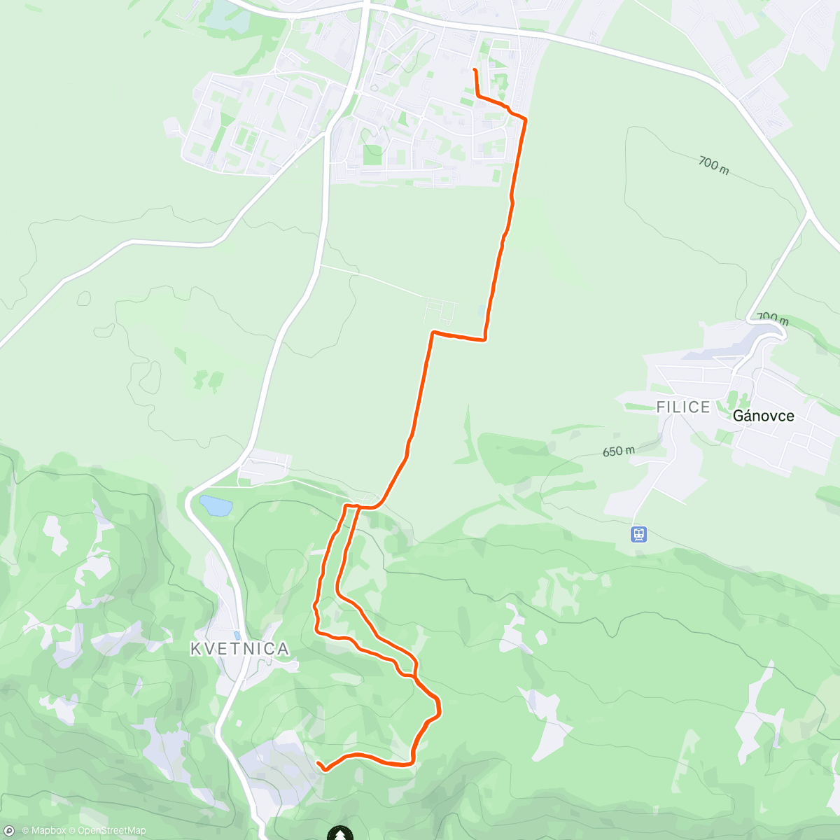 Map of the activity, Lunch Trail Run