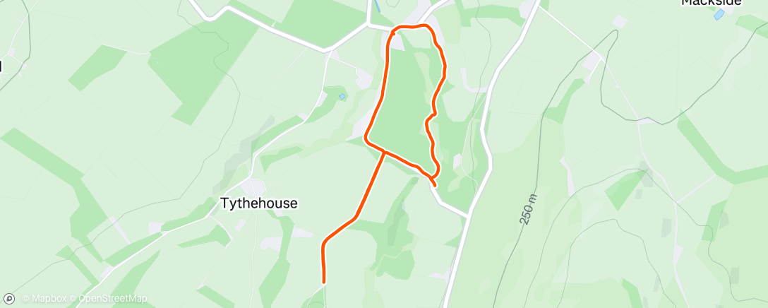 Mappa dell'attività Run with 👸