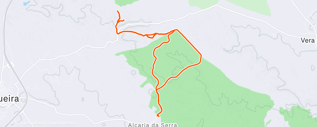 Map of the activity, Morning Run