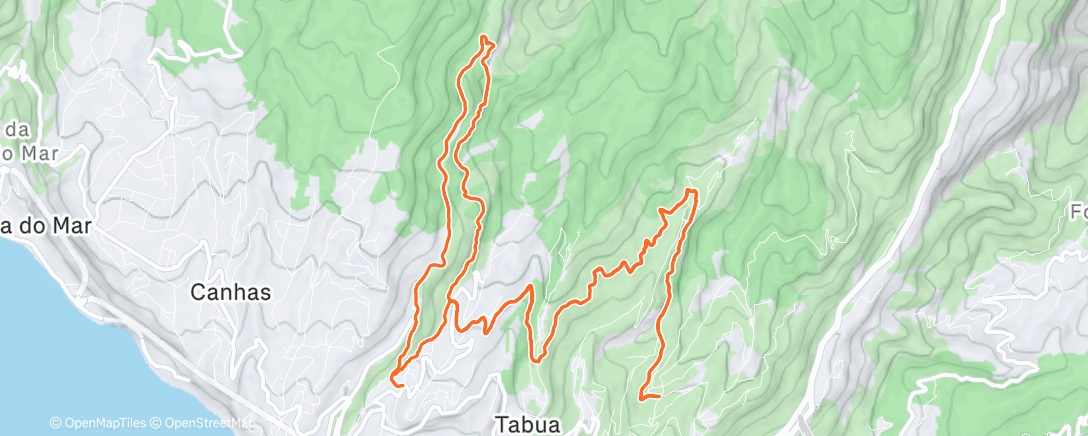 Map of the activity, Morning Trail Run