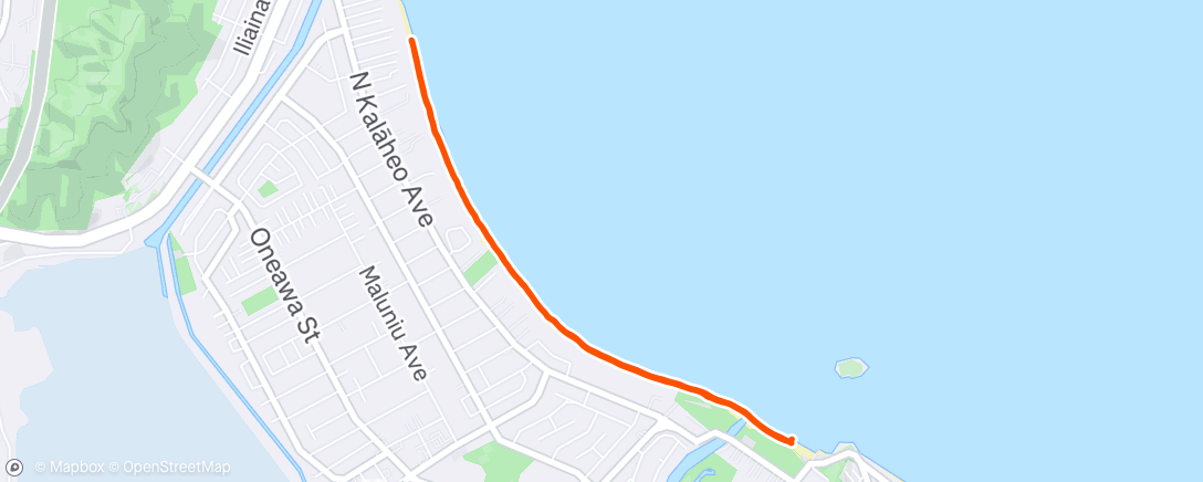 Map of the activity, Morning Run