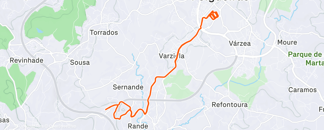 Карта физической активности (Evening Run)