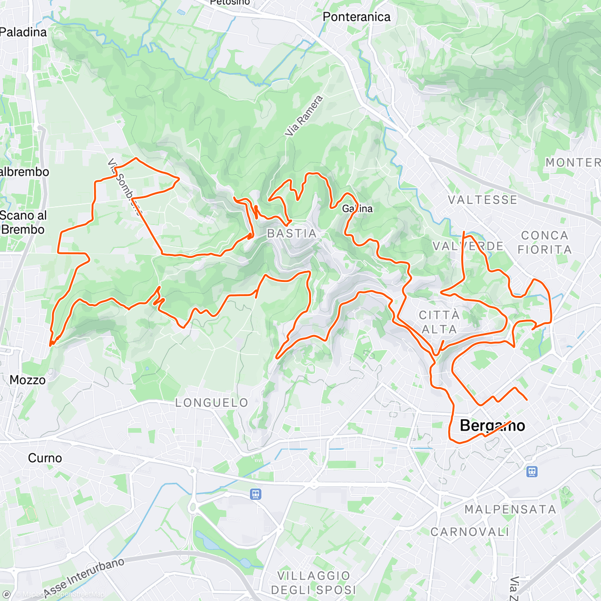 Mappa dell'attività Reverb Muddy Lap #2