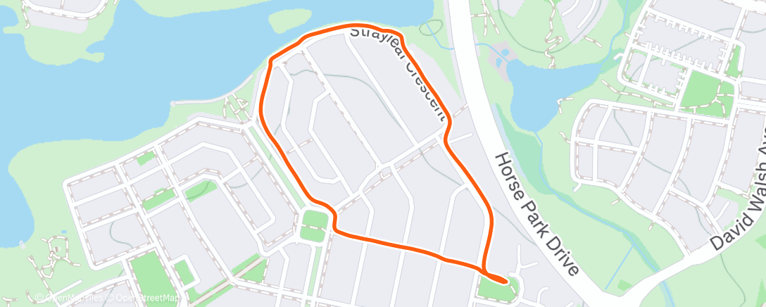 Map of the activity, Christmas Morning Walk
