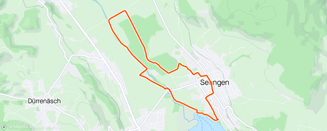 Mapa de la actividad, Morning Trail Run - Basic