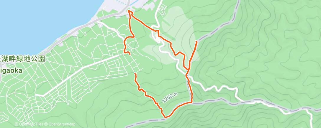 Карта физической активности (Lunch Hike)