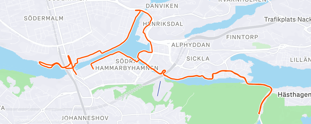 Map of the activity, Morning Run