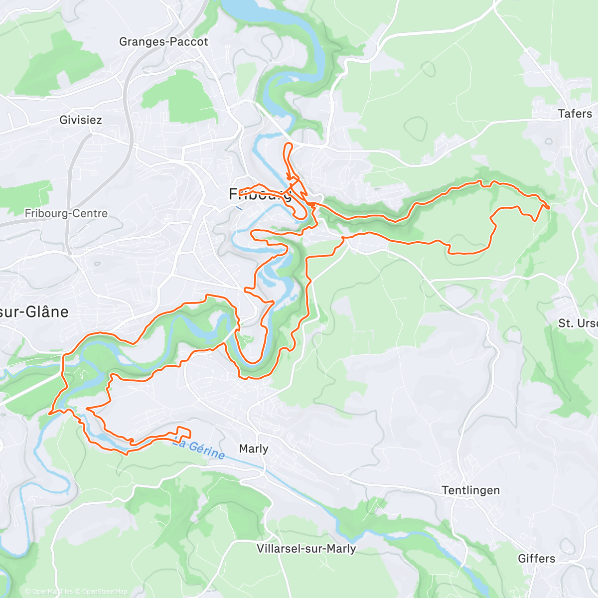 Map of the activity, 🥇Fribourg by night