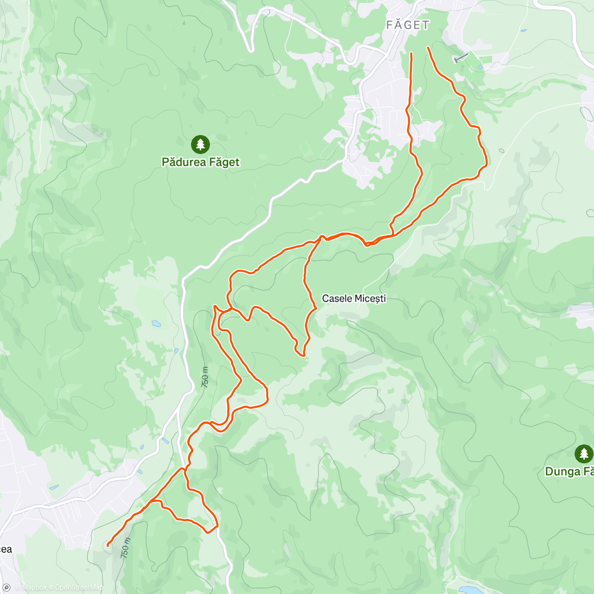 Mapa da atividade, Morning Trail Run