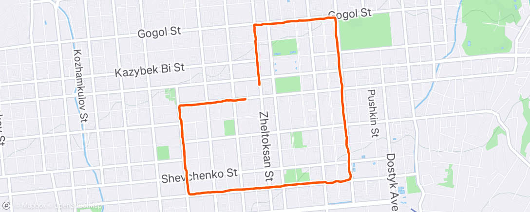 Map of the activity, Morning Run