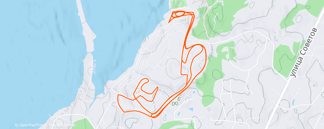 Карта физической активности (Северный лыжный заезд (утро))