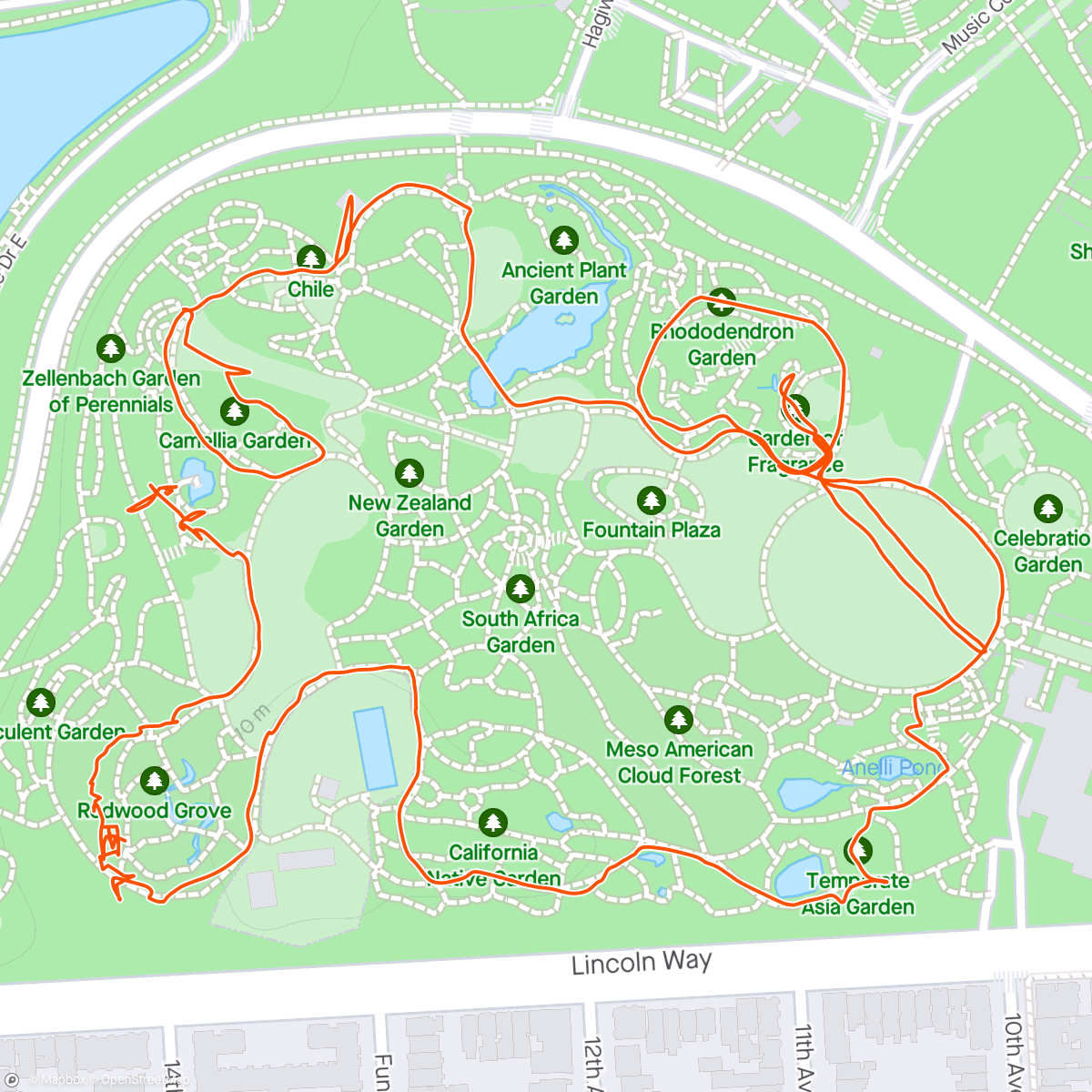 Map of the activity, Levi’s first walk thru the botanical garden